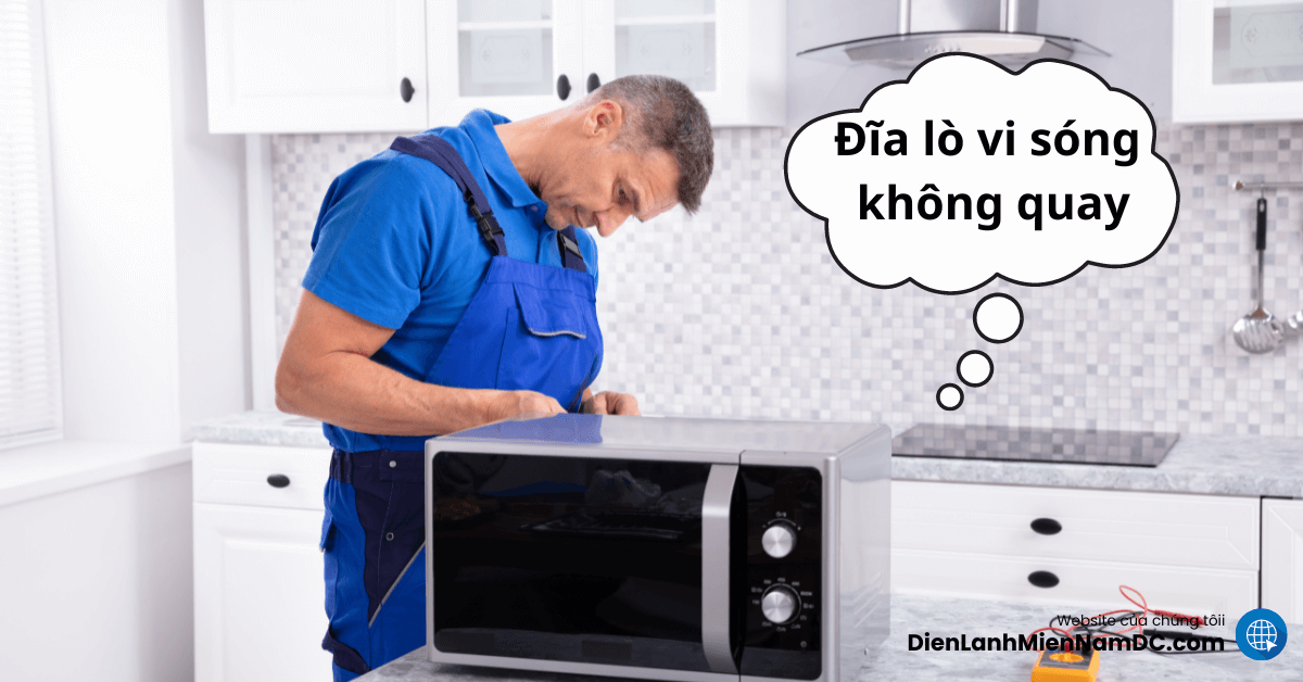 Đĩa lò vi sóng không quay